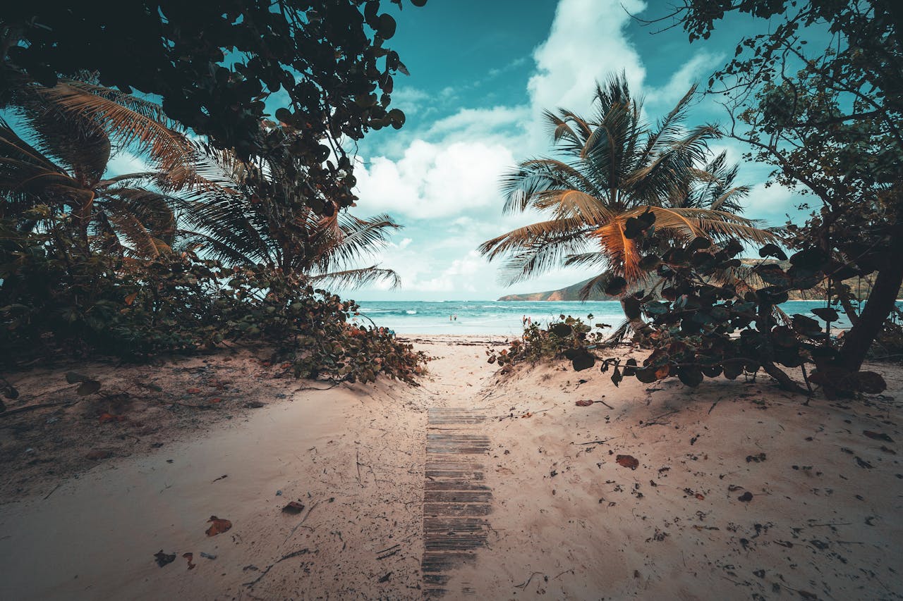 Offerings Discover a tranquil sandy pathway leading to a picturesque Puerto Rican beach with lush palm trees.